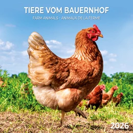 Abbildung von Tiere vom Bauernhof 2026 | 1. Auflage | 2025 | beck-shop.de