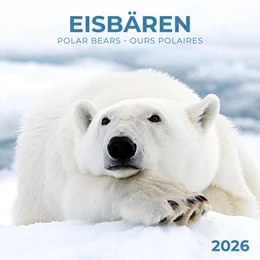 Abbildung von Eisbärchen/Polar Bears 2026 | 1. Auflage | 2025 | beck-shop.de