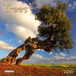 Abbildung von Trees 2026 | 1. Auflage | 2025 | beck-shop.de