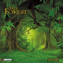 Abbildung von Deep Forest 2026 | 1. Auflage | 2025 | beck-shop.de