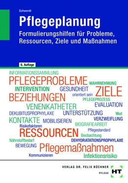 Abbildung von Schwerdt | eBook inside: Buch und eBook Pflegeplanung | 6. Auflage | 2025 | beck-shop.de
