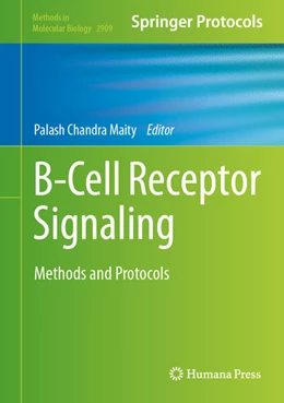 Abbildung von Maity | B-Cell Receptor Signaling | 1. Auflage | 2025 | beck-shop.de