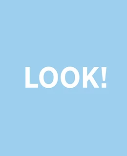 Abbildung von Deutsche Fotothek / Bove | Look! Fantasie und Wirklichkeit | 1. Auflage | 2025 | beck-shop.de