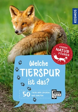 Abbildung von Saan | Welche Tierspur ist das? Kindernaturführer | 1. Auflage | 2025 | beck-shop.de