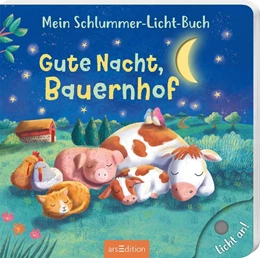 Abbildung von Höck | Mein Schlummer-Licht-Buch: Gute Nacht, Bauernhof | 1. Auflage | 2025 | beck-shop.de