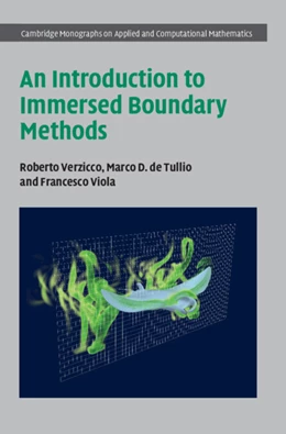 Abbildung von Verzicco / de Tullio | An Introduction to Immersed Boundary Methods | 1. Auflage | 2025 | 43 | beck-shop.de