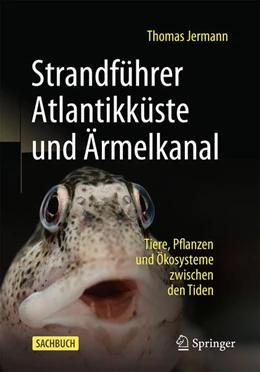 Abbildung von Jermann | Strandführer Atlantikküste und Ärmelkanal | 1. Auflage | 2025 | beck-shop.de