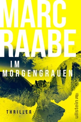 Abbildung von Raabe | Im Morgengrauen | 1. Auflage | 2026 | beck-shop.de