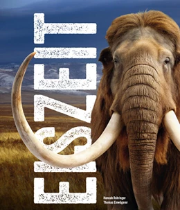 Abbildung von Rohringer / Einwögerer | Eiszeit - Ice Age | 1. Auflage | 2025 | beck-shop.de