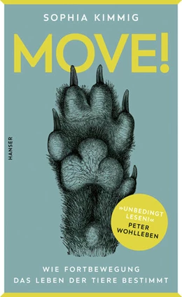 Abbildung von Kimmig | Move! | 1. Auflage | 2025 | beck-shop.de