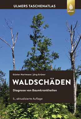 Abbildung von Hartmann / Grüner | Waldschäden | 5. Auflage | 2025 | beck-shop.de
