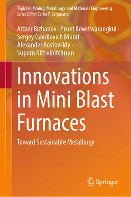 Abbildung von Bizhanov / Kowitwarangkul | Innovations in Mini Blast Furnaces | 1. Auflage | 2025 | beck-shop.de