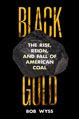 Abbildung von Wyss | Black Gold | 1. Auflage | 2025 | beck-shop.de