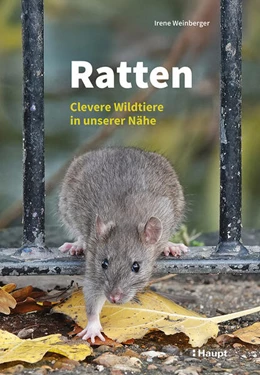 Abbildung von Weinberger | Ratten | 1. Auflage | 2025 | beck-shop.de
