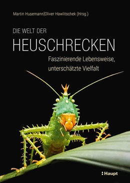 Abbildung von Husemann / Hawlitschek | Die Welt der Heuschrecken | 1. Auflage | 2025 | beck-shop.de