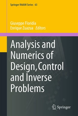 Abbildung von Floridia / Zuazua | Analysis and Numerics of Design, Control and Inverse Problems | 1. Auflage | 2025 | beck-shop.de