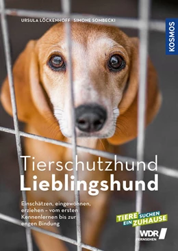 Abbildung von Löckenhoff / Sombecki | Tierschutzhund Lieblingshund | 1. Auflage | 2025 | beck-shop.de