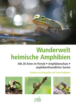 Abbildung von Graßmann | Wunderwelt heimische Amphibien | 1. Auflage | 2025 | beck-shop.de