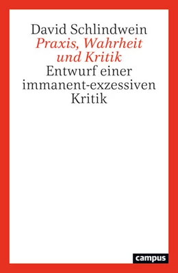Abbildung von Schlindwein | Praxis, Wahrheit und Kritik | 1. Auflage | 2025 | beck-shop.de