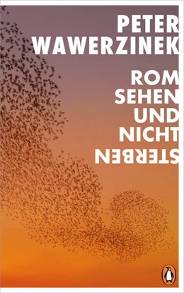 Abbildung von Wawerzinek | Rom sehen und nicht sterben | 1. Auflage | 2025 | beck-shop.de
