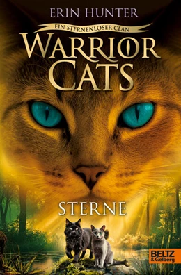 Abbildung von Hunter | Warrior Cats - Ein sternenloser Clan. Sterne | 1. Auflage | 2025 | beck-shop.de