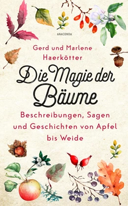 Abbildung von Haerkötter | Die Magie der Bäume. Beschreibungen, Sagen und Geschichten von Apfel bis Weide | 1. Auflage | 2025 | beck-shop.de