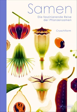 Abbildung von Cruschiform | Samen | 1. Auflage | 2025 | beck-shop.de