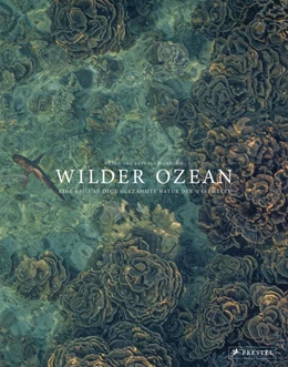 Abbildung von Pickford | Wilder Ozean | 1. Auflage | 2025 | beck-shop.de