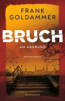 Abbildung von Goldammer | Bruch: Am Abgrund | 1. Auflage | 2025 | beck-shop.de