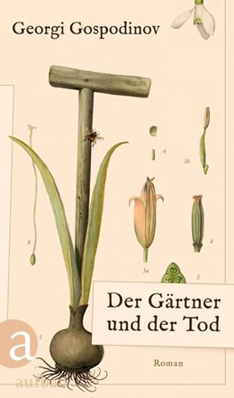 Abbildung von Gospodinov | Der Gärtner und der Tod | 1. Auflage | 2025 | beck-shop.de