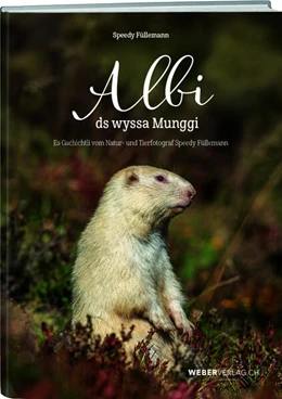 Abbildung von Füllemann | Albi ds wyssa Munggi | 1. Auflage | 2025 | beck-shop.de