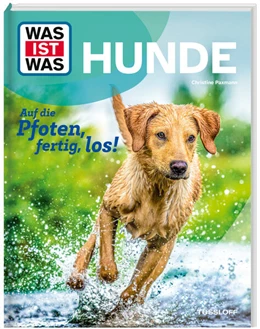 Abbildung von Paxmann | WAS IST WAS Hunde. Auf die Pfoten, fertig, los! | 1. Auflage | 2025 | beck-shop.de