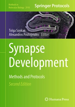 Abbildung von Soykan / Poulopoulos | Synapse Development | 2. Auflage | 2025 | beck-shop.de