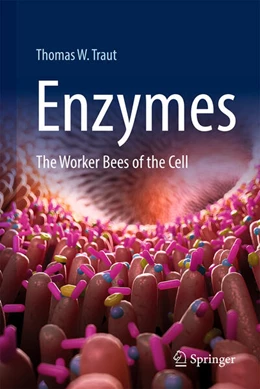 Abbildung von Traut | Enzymes | 1. Auflage | 2025 | beck-shop.de