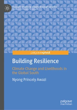 Abbildung von Awazi | Building Resilience | 1. Auflage | 2025 | beck-shop.de