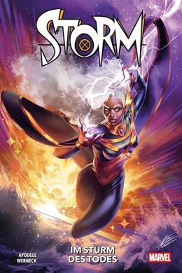 Abbildung von Ayodele / Werneck | Storm | 1. Auflage | 2025 | beck-shop.de