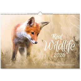 Abbildung von Real Wildlife 2026 | 1. Auflage | 2025 | beck-shop.de