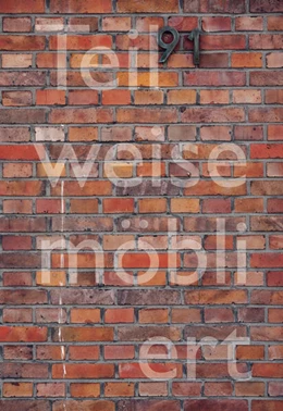 Abbildung von Martin | Teilweise möbliert, exzellente Aussicht. Ortsspezifische Kunst für Haus Lange | 1. Auflage | 2025 | beck-shop.de