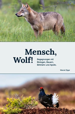 Abbildung von Züger | Mensch, Wolf! | 1. Auflage | 2025 | beck-shop.de