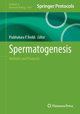 Abbildung von Reddi | Spermatogenesis | 1. Auflage | 2025 | beck-shop.de