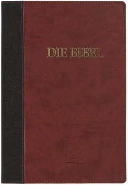 Abbildung von Schlachter 2000 Bibel - Großdruckausgabe (Softcover, grau/braun) | 6. Auflage | 2024 | beck-shop.de