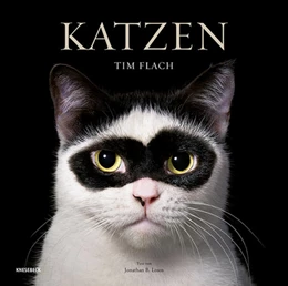 Abbildung von Flach | Katzen | 1. Auflage | 2025 | beck-shop.de