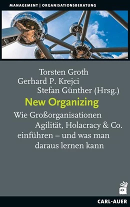 Abbildung von Groth / Krejci | New Organizing | 2. Auflage | 2025 | beck-shop.de