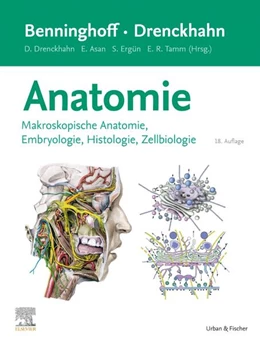Abbildung von Asan / Drenckhahn | Benninghoff/Drenckhahn, Anatomie | 18. Auflage | 2025 | beck-shop.de