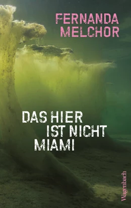 Abbildung von Melchor / Ammar | Das hier ist nicht Miami | 1. Auflage | 2025 | beck-shop.de