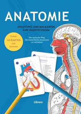 Abbildung von Anatomie - Anleitung und Malkarten zum Selbststudium | 1. Auflage | 2025 | beck-shop.de
