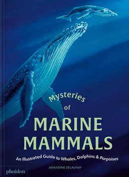 Abbildung von Delaunay | Mysteries of Marine Mammals | 1. Auflage | 2025 | beck-shop.de