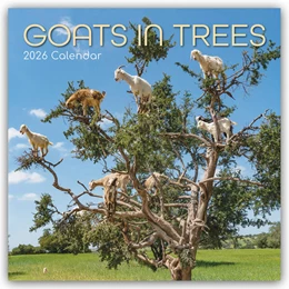Abbildung von Gifted Stationery Co. Ltd | Goats in Trees - Ziegen auf Bäumen 2026 - 16-Monatskalender | 1. Auflage | 2025 | beck-shop.de