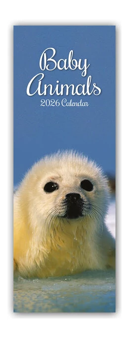 Abbildung von Gifted Stationery Co. Ltd | Baby Animals - Tierkinder - Slimline-Kalender 2026 | 1. Auflage | 2025 | beck-shop.de