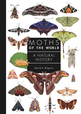 Abbildung von Wagner | Moths of the World | 1. Auflage | 2025 | beck-shop.de